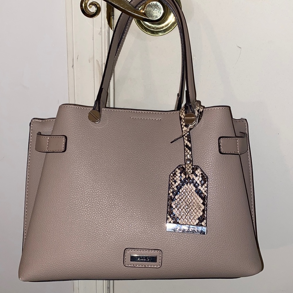Aldo Snakeskin Purse